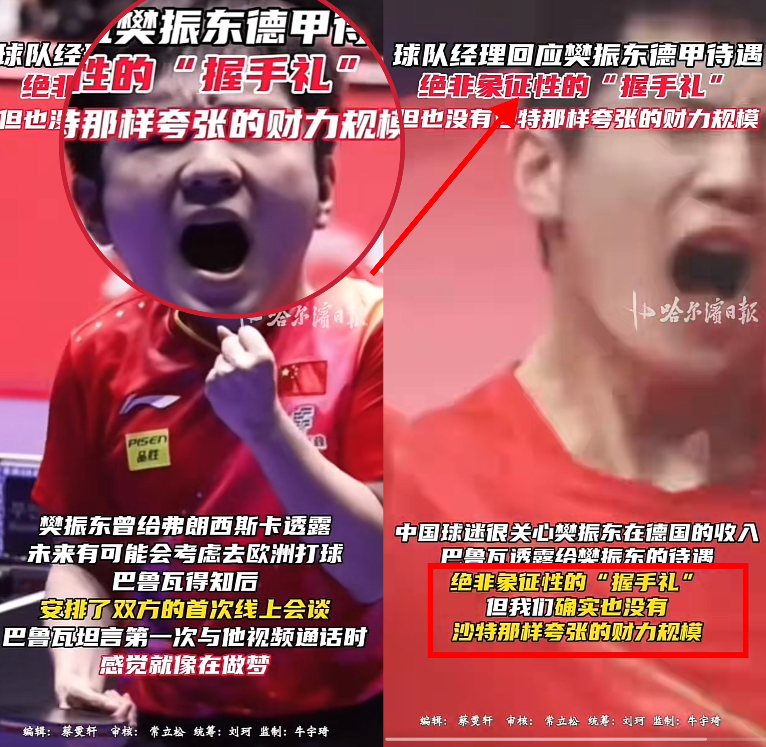 关于比利时乒乓球队绝杀法国乒乓球队，樊振东制霸全场的信息