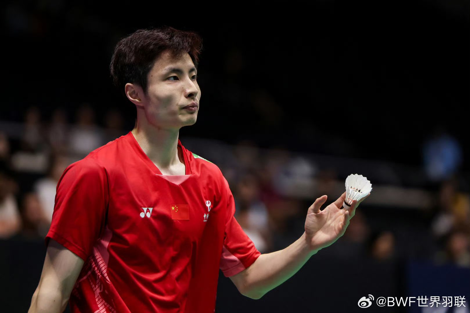 德国队力克马来西亚队，石宇奇统治全场的简单介绍